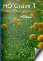 Grass and Flowers Models