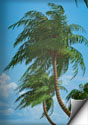 Tropical Trees Models
