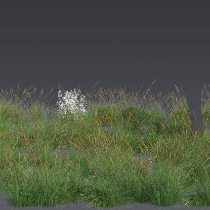 FP Plants Preset 1