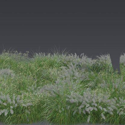 FP Plants Preset 2