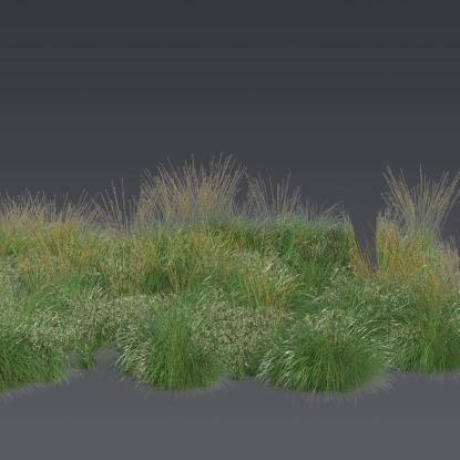FP Plants Preset 4
