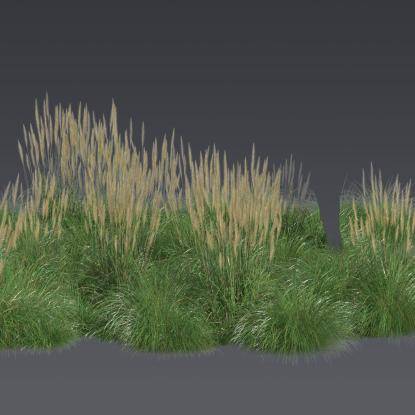 FP Plants Preset 5