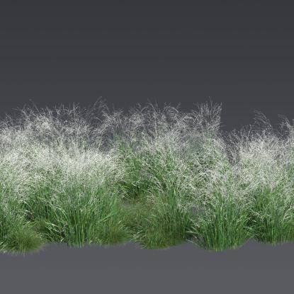 FP Plants Preset 6