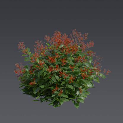 Firespike Plant 1