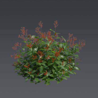 Firespike Plant 2