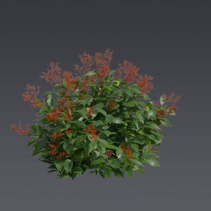 Firespike Plant 5