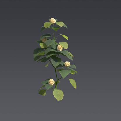 Glory Bower 2
