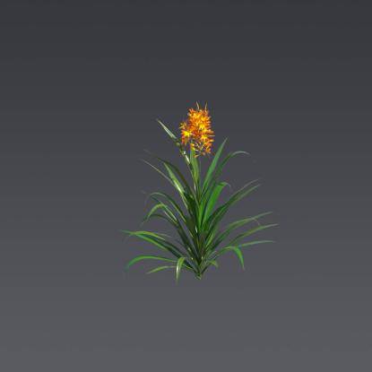 Valentine Flower 2