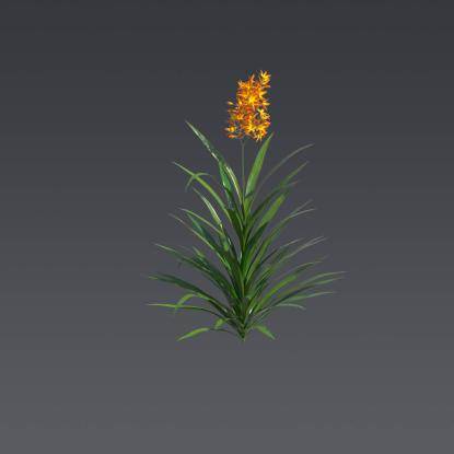 Valentine Flower 4