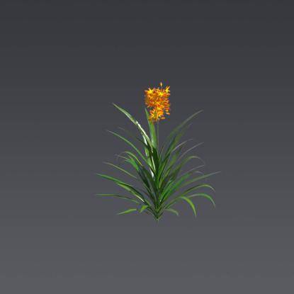 Valentine Flower 5