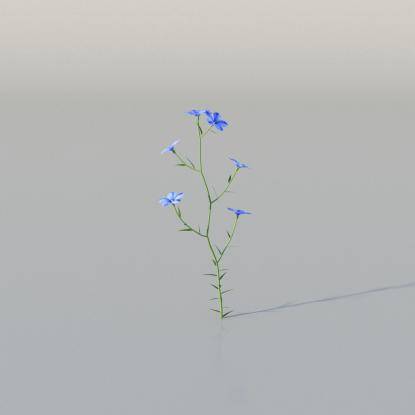 Beautiful Flax v1