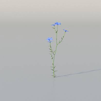 Beautiful Flax v3