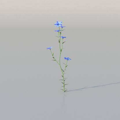 Beautiful Flax v4
