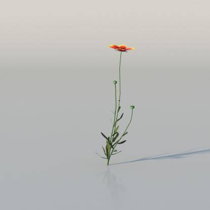 Blanket Flower v4