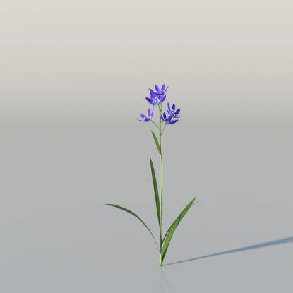 Blue Camas v1