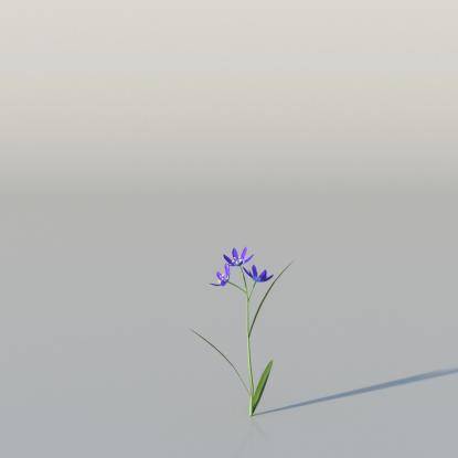 Blue Camas v2