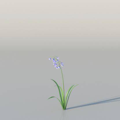 BlueBell v1