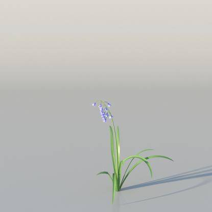 BlueBell v2
