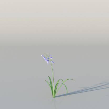 BlueBell v3
