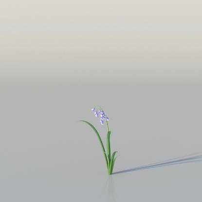 BlueBell v4