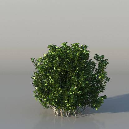 Bush Common Box v3