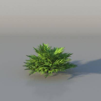 Bush Fern v3