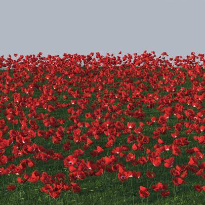 FP Preset "Common Poppy Field"