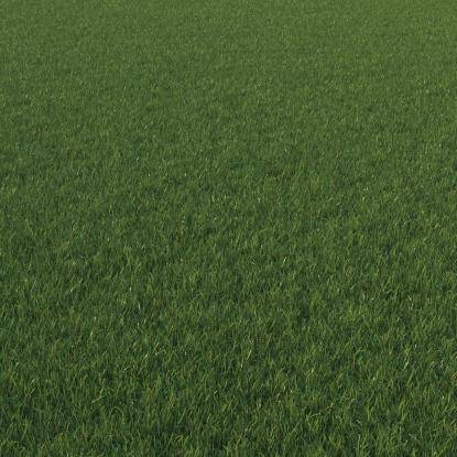 FP Preset "Medium lawn grass detail"