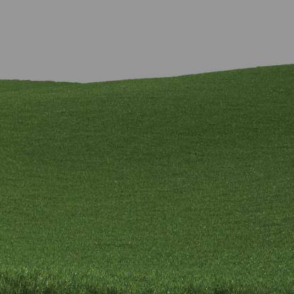 FP Preset "Medium lawn grass large"