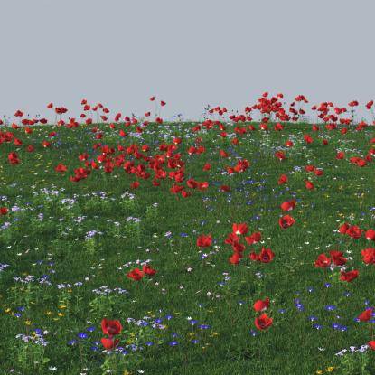 FP Preset "Mixed Meadow"