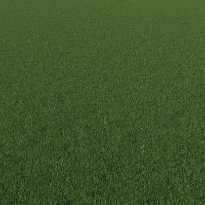 FP Preset "Short lawn grass detail"