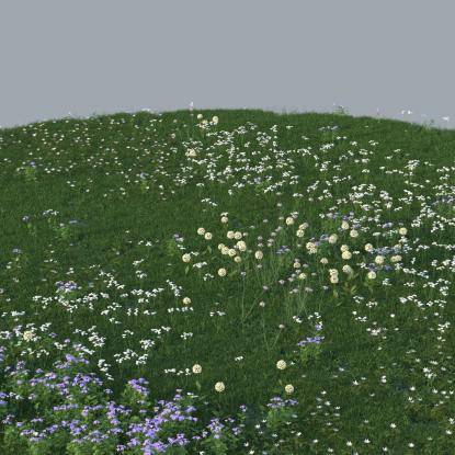 FP Preset "White Meadow"