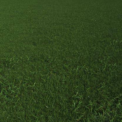 FP Preset "Wild grass detail"