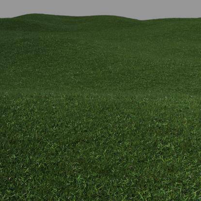 FP Preset "Wild grass large"