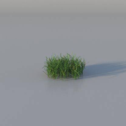 Grasses - Common Grass Base v1