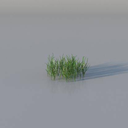 Grasses - Common Grass Base v3
