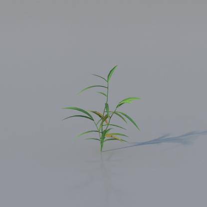Grasses - Common Grass Plant v3
