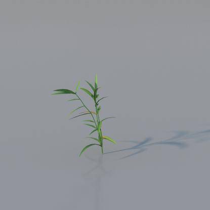 Grasses - Common Grass Plant v4