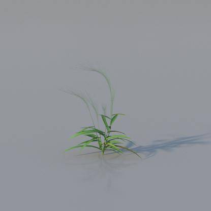 Grasses - Common Grass Plant v5