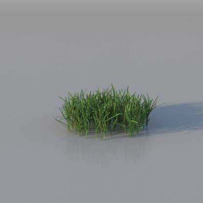 Grasses - Short Lawn Grass v1