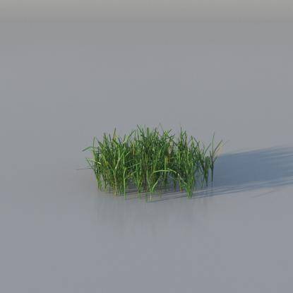 Grasses - Short Lawn Grass v2