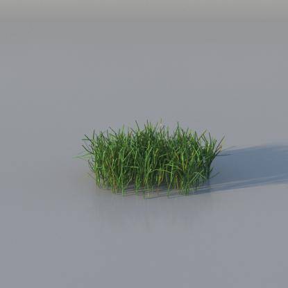 Grasses - Short Lawn Grass v3