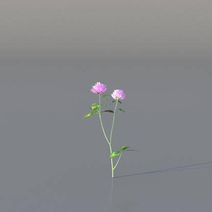Red Clover v2