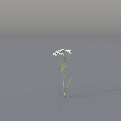 Yarrow v2