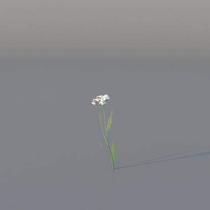 Yarrow v3
