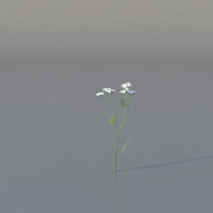 Yarrow v4