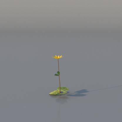 Yellow Anemone v1
