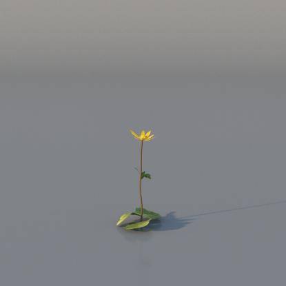 Yellow Anemone v2