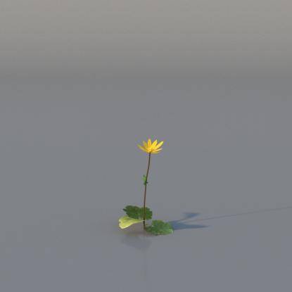 Yellow Anemone v3