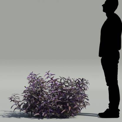 Wandering jew V2